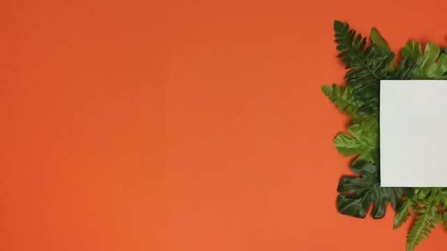 Sobre fondo naranja aparece un cuadro blanco rodeado de hojas.