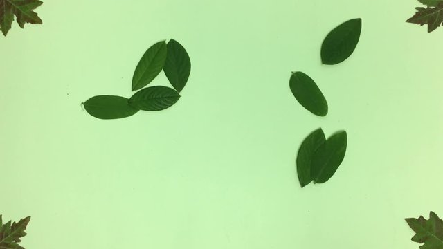 Numero diez hecho de hojas verdes, se borra con el viento.