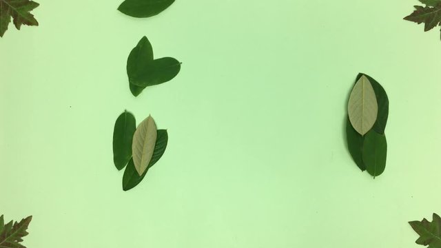 Numero veinte hecho de hojas, se borra por el viento.