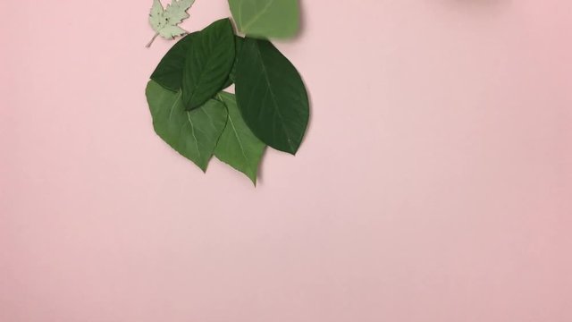 Corazon hecho de hojas verdes se desace por el viento.