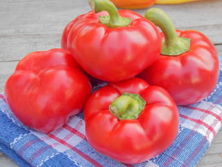 bell pepper red paprika 