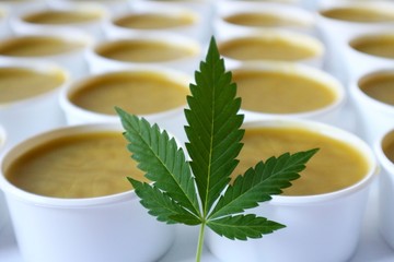 Many hemp salves balms lotions with marijuana leaf, healing marijuana photo