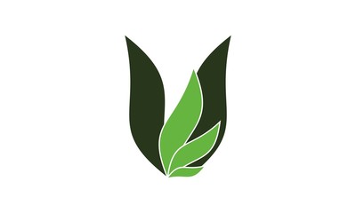 Letter U Leaf Logo Vector