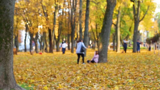 Many people of different age enjoy warm weather outdoors taking photos in colorful golden autumn park. Blurry real time full hd video footage.