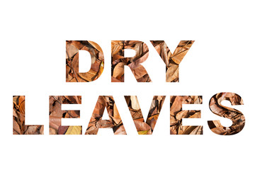 Dry leaves word.