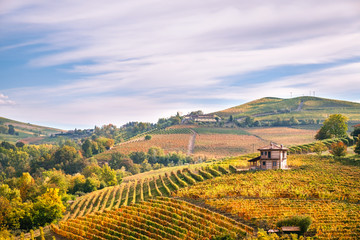 Langhe e Roero vineyards autumn landscape, Barolo, Dolcetto, Barcaresco wine. Cuneo province,...