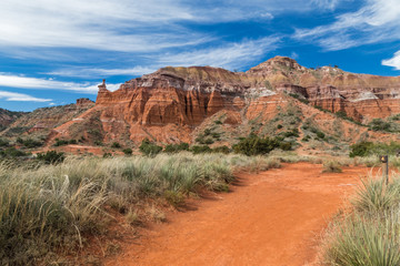 Red and rocky landscape of Texas