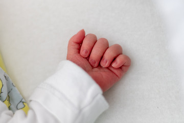 Händchen eines kleinen Babys kru nach der Geburt im Kinderbett