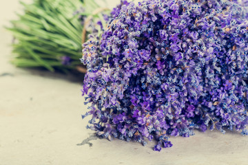 Lavender flowers close up