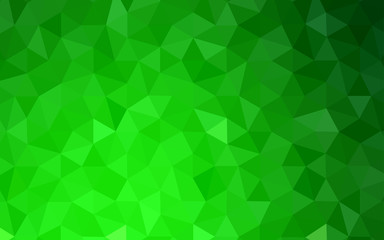 Light Green vector low poly layout.