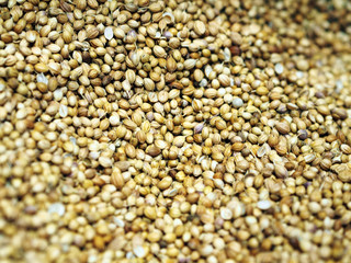 Dried Cumin seeds with shell in a close up shot