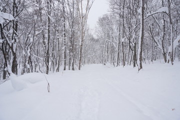 雪道