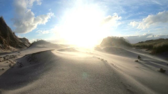 Sandsturm an der d&auml;nischen Nordseek&uuml;ste, D&uuml;nenlandschaft, D&uuml;nenbildung, Wanderd&uuml;nen
