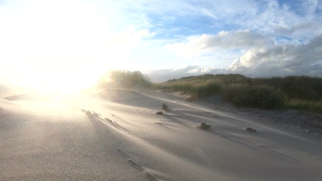 Sandsturm an der d&auml;nischen Nordseek&uuml;ste, D&uuml;nenlandschaft, D&uuml;nenbildung, Wanderd&uuml;nen