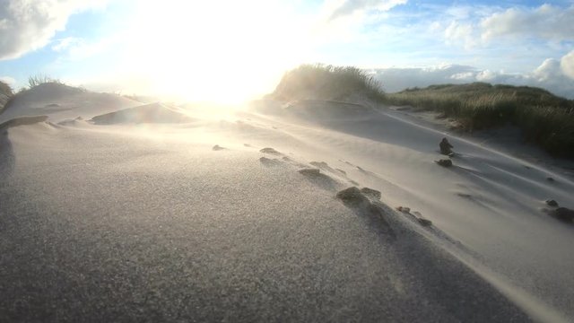 Sandsturm an der d&auml;nischen Nordseek&uuml;ste, D&uuml;nenlandschaft, D&uuml;nenbildung, Wanderd&uuml;nen
