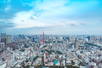 Fototapeta na wymiar TOKYO, JAPAN - June 21, 2018: Tokyo Tower is the world's tallest, self-supported steel tower in Tokyo, Japan
