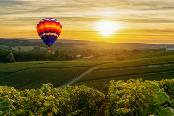 Fototapeta premium Colorful hot air balloons flying over champagne Vineyards at sunset montagne de Reims, France