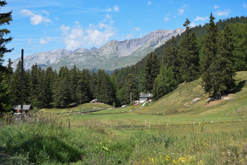 Fototapeta na wymiar Swiss Views