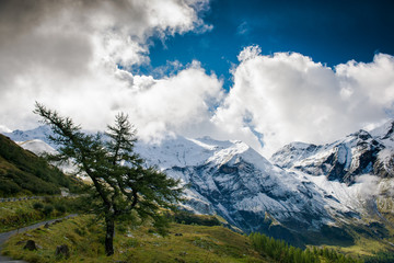 Fototapeta premium Landscape of the Alps. Snow-capped mountain peaks. beautiful meadows of Austria. Freedom, tourism, travel. Großglockner alpine road. 