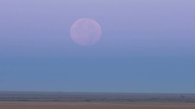 The full moon is visible in the afternoon sky above horizon on the wild and green prairie of Torgay Kazakhstan.