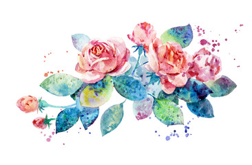 roses by watercolor, plant element for design.