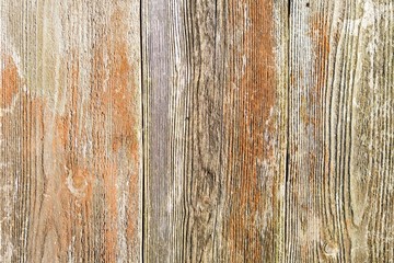Old grunge wood texture