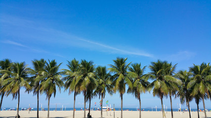 Obraz na płótnie Canvas Coconut trees on Copacabana beach Rio de Janeiro Brazil