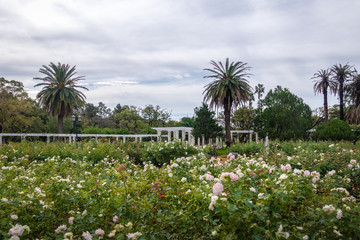 El Rosedal Rose Park at Bosques de Palermo (Palermo Woods) - Buenos Aires, Argentina