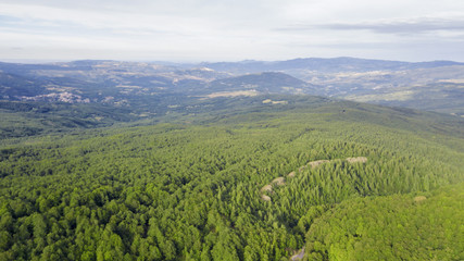 Aerial view of a huge forest that expands on many hills. On the sfodno the mountains of the Italian Apennines in Basilicata, near Pollino mountain.