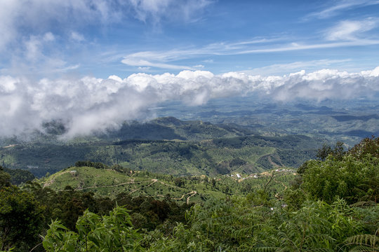 Landscape Panorama Sri Lanka