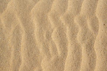 Fototapeta na wymiar Sand Texture background. Top view