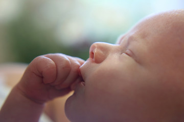Portrait of a sleeping newborn baby close-up
