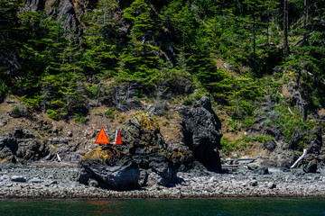 Rocky beach and tree covered hillside of a San Juan Island, orange hazard channel marker on a shoreline boulder, green water in the foreground

