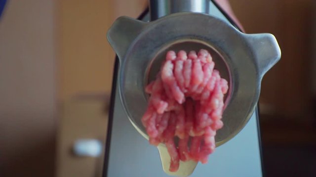 electric meat grinder prepares minced meat