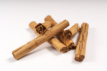 Canela