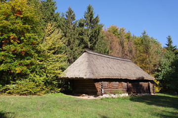 log house with alog house with a thatched roof thatched roof