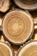 Core of juniper and sandalwood background