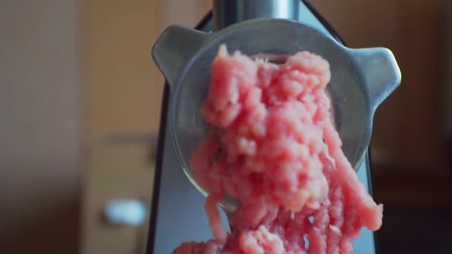 electric meat grinder prepares minced meat