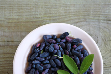 Honeysuckle berries in Cup on table with copy space