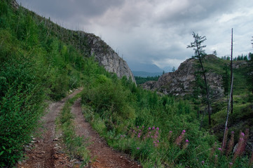 Road path through a dark evening mountain valley with green grass and ranges of  hills rocks on a horizon skyline under twilight dramatic sky Altai Mountains Siberia Russia