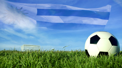 Soccer ball with uruguay flag for sport event team