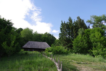 wooden house near the forest