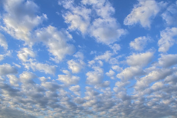 Background of beautiful  sky with clouds. Cirrocumulus. Looking up view. Close Up. Abstract natural...