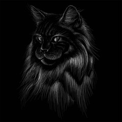  The Vector logo cat for T-shirt design or outwear. Hunting style cat background.