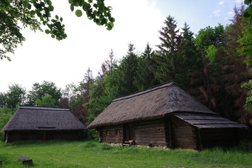 wooden house near the forest