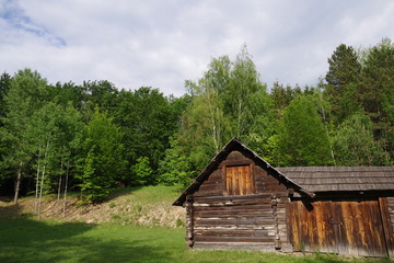 wooden house near the forest