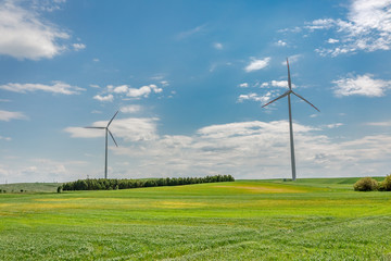 Wind turbines on green field in sunny day