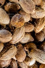 großer Berg an Kokusnüssen auf einer Plantage © Gieri-Foto