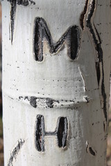M and H