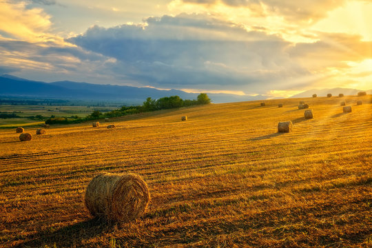 raggi di sole al tramonto su balle di paglia